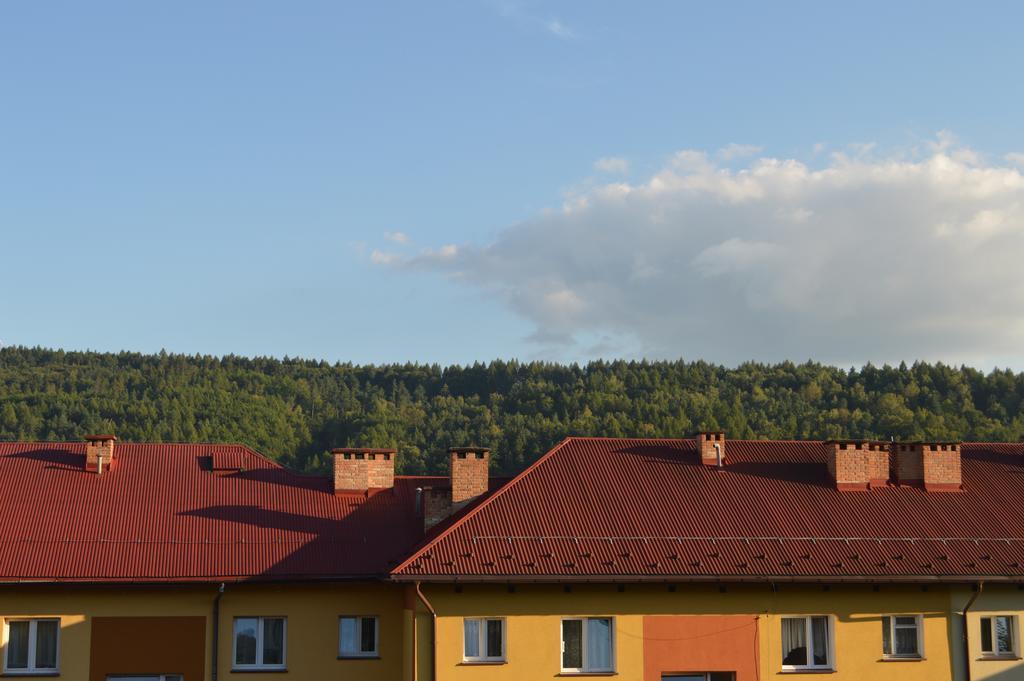 Apartament Ustrzyki Ustrzyki Dolne Exterior photo