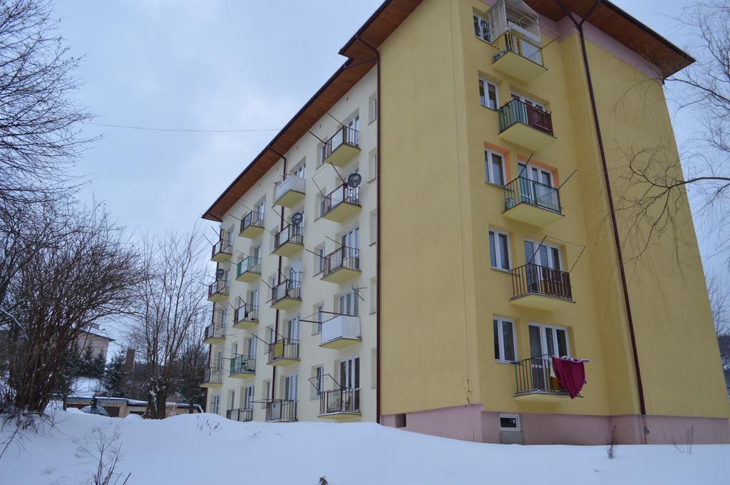 Apartament Ustrzyki Ustrzyki Dolne Exterior photo